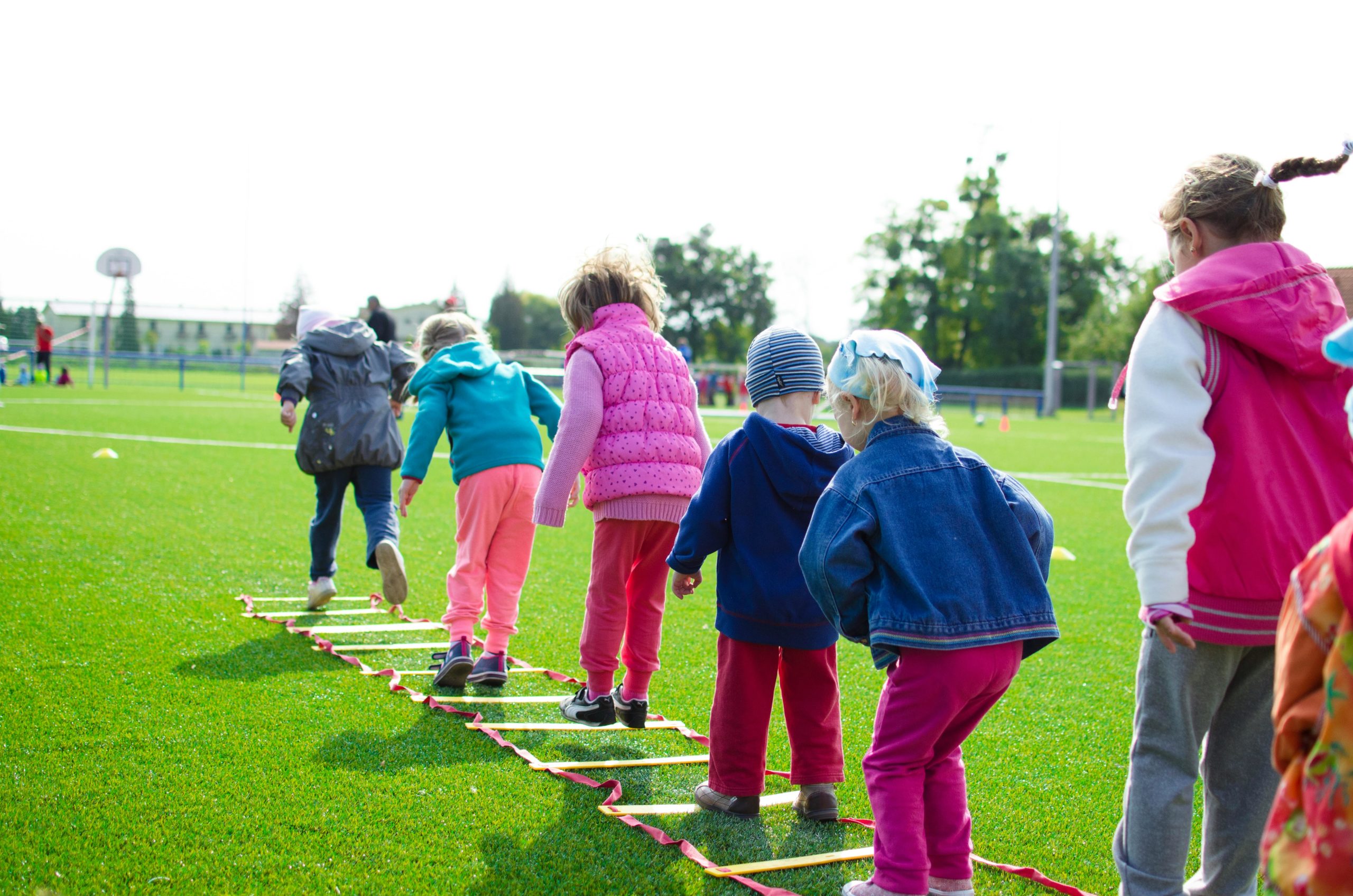 Pexels goumbik 296301 Guide école