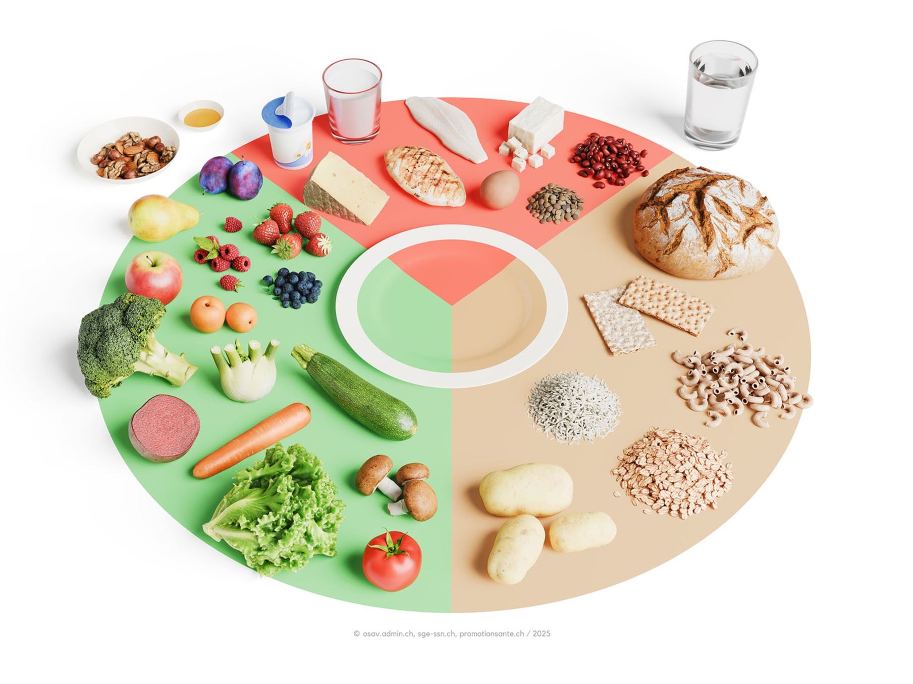 Assitett Guide école